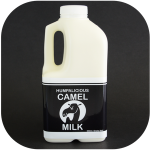 Buy 1L Camel Milk x 20