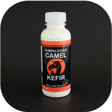 Load image into Gallery viewer, Buy 350ml Camel Milk Kefir x 15