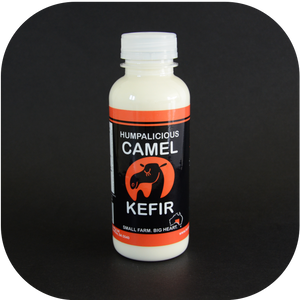 Buy 350ml Camel Milk Kefir x 15