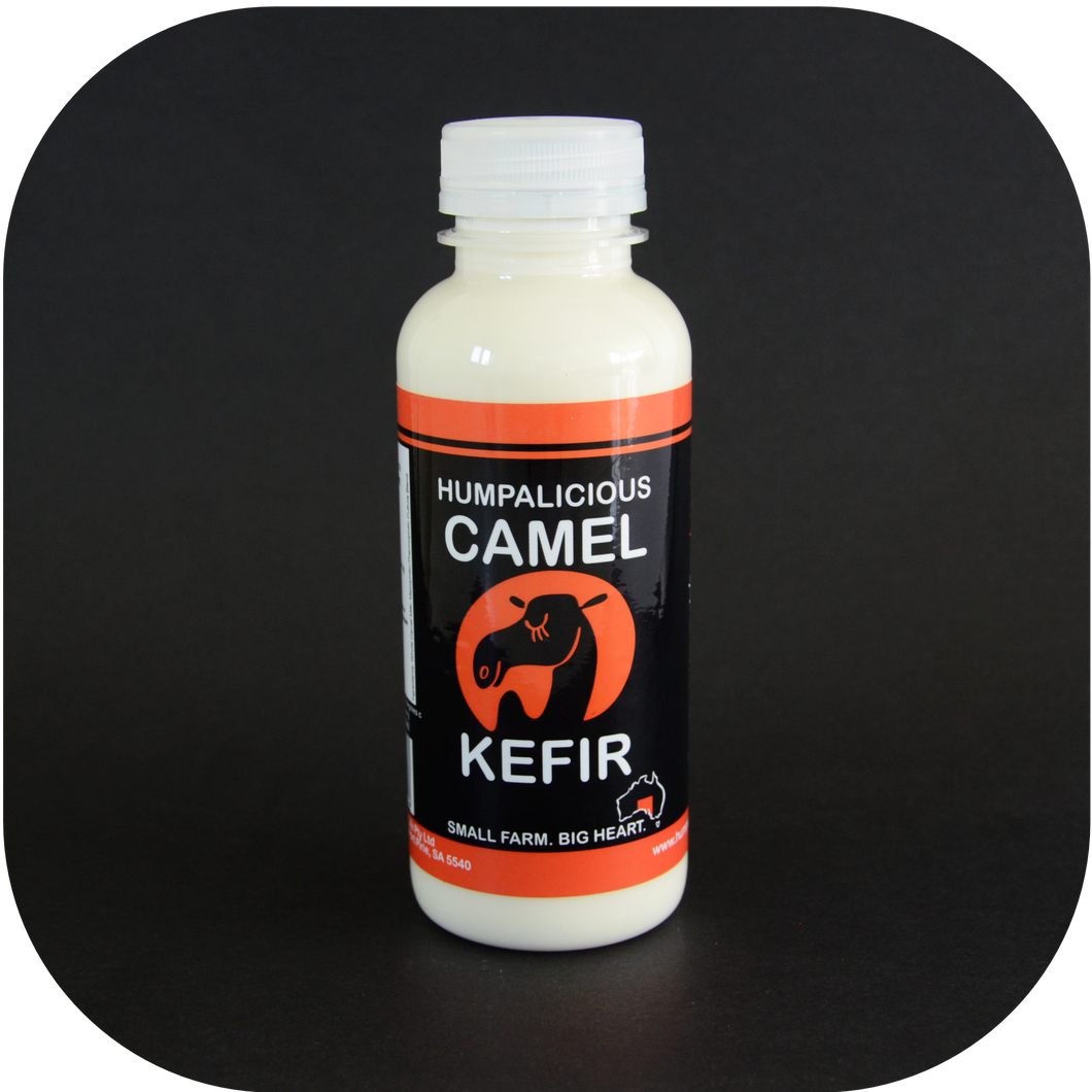 Buy 350ml Camel Milk Kefir x 45
